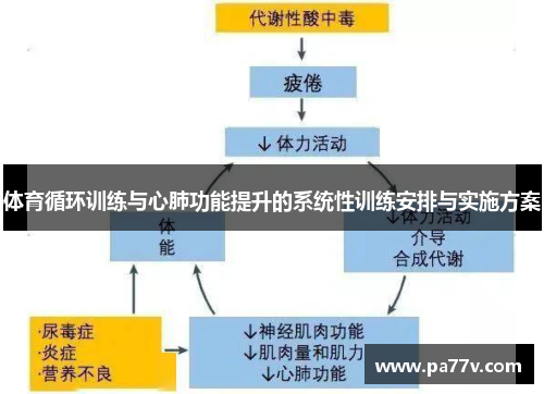 体育循环训练与心肺功能提升的系统性训练安排与实施方案